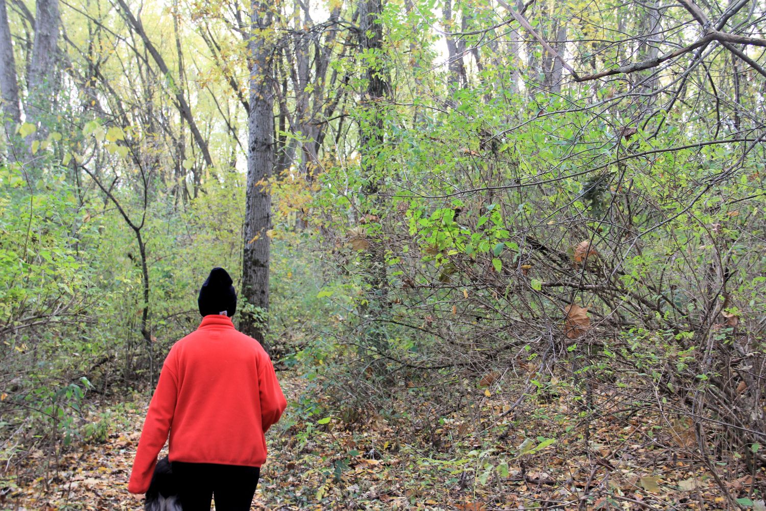 Rock Cut State Park 